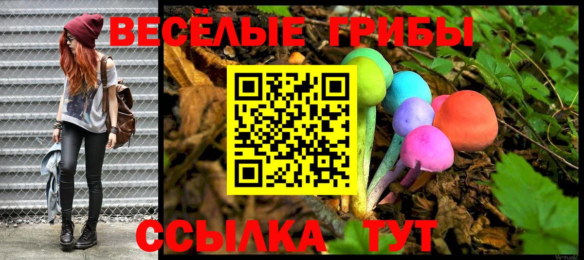Галлюциногенные грибы мухоморы  Псилоцибиновые грибы Psilocybine cubensis  Вход с VPN  Сегежа 